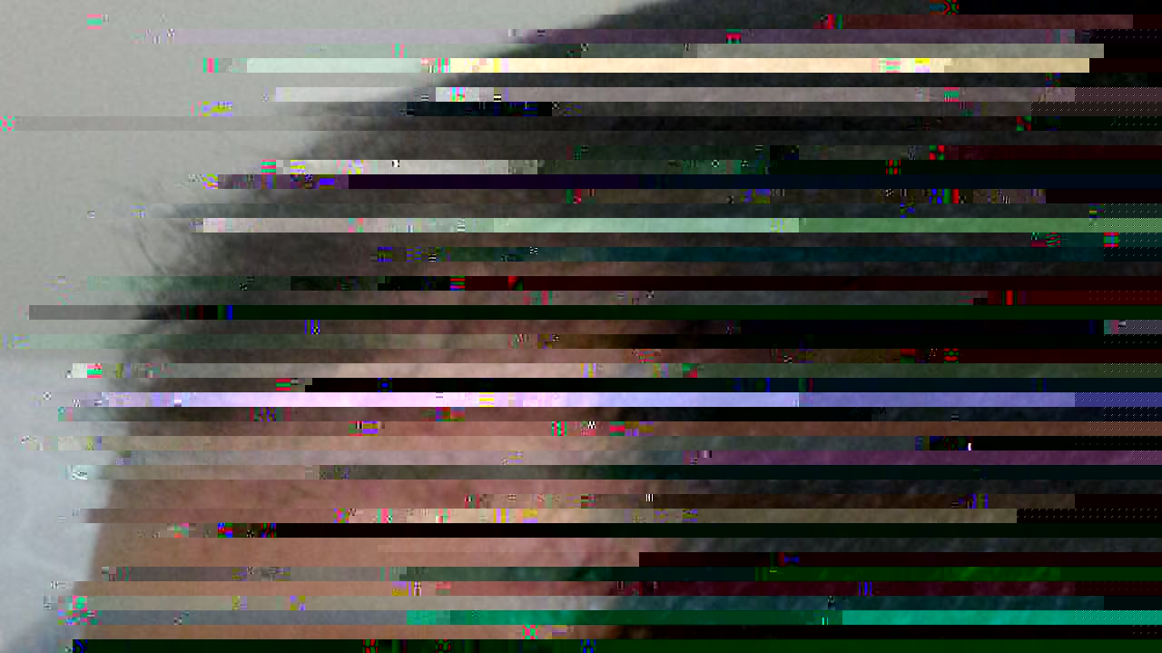 before 1.jpeg