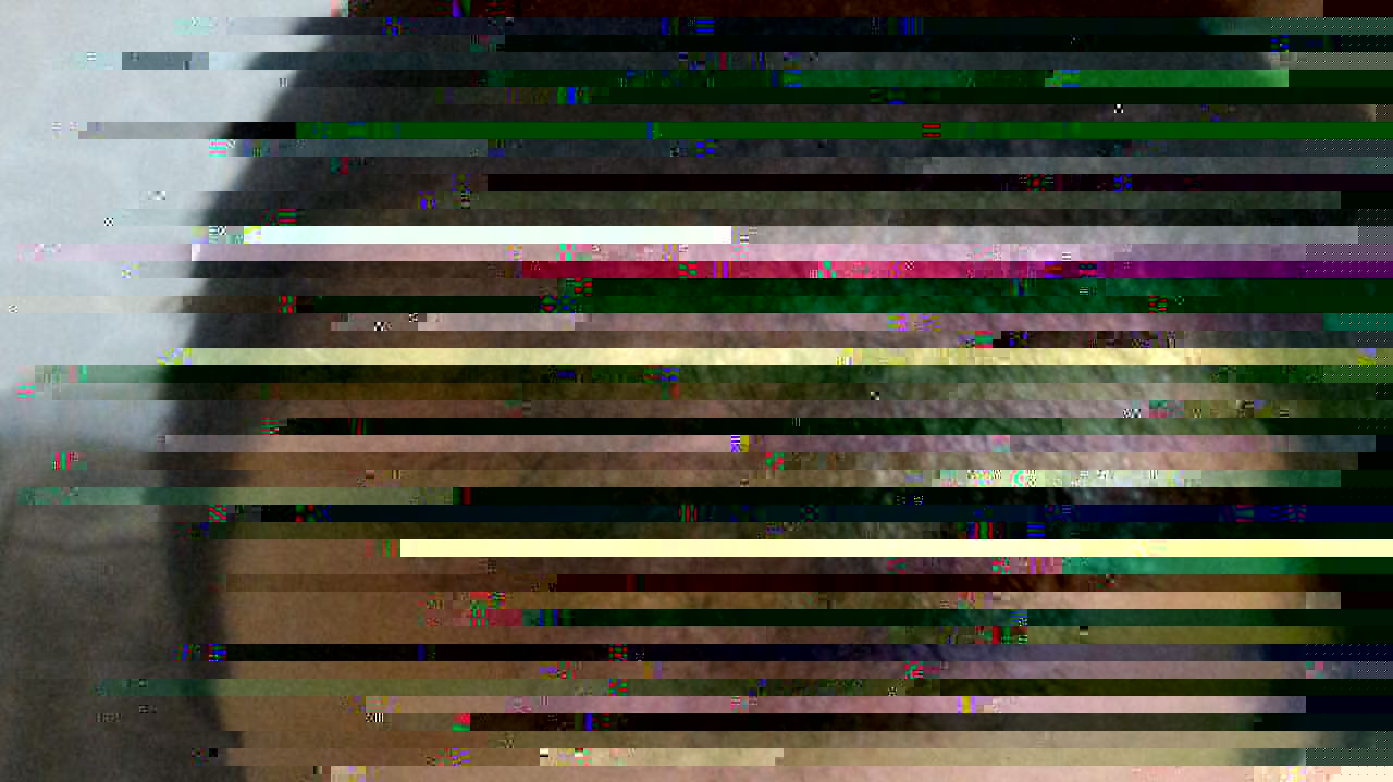 before 2.jpeg