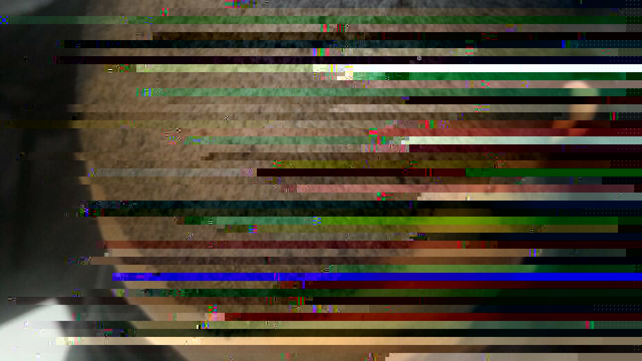 before 6.jpeg