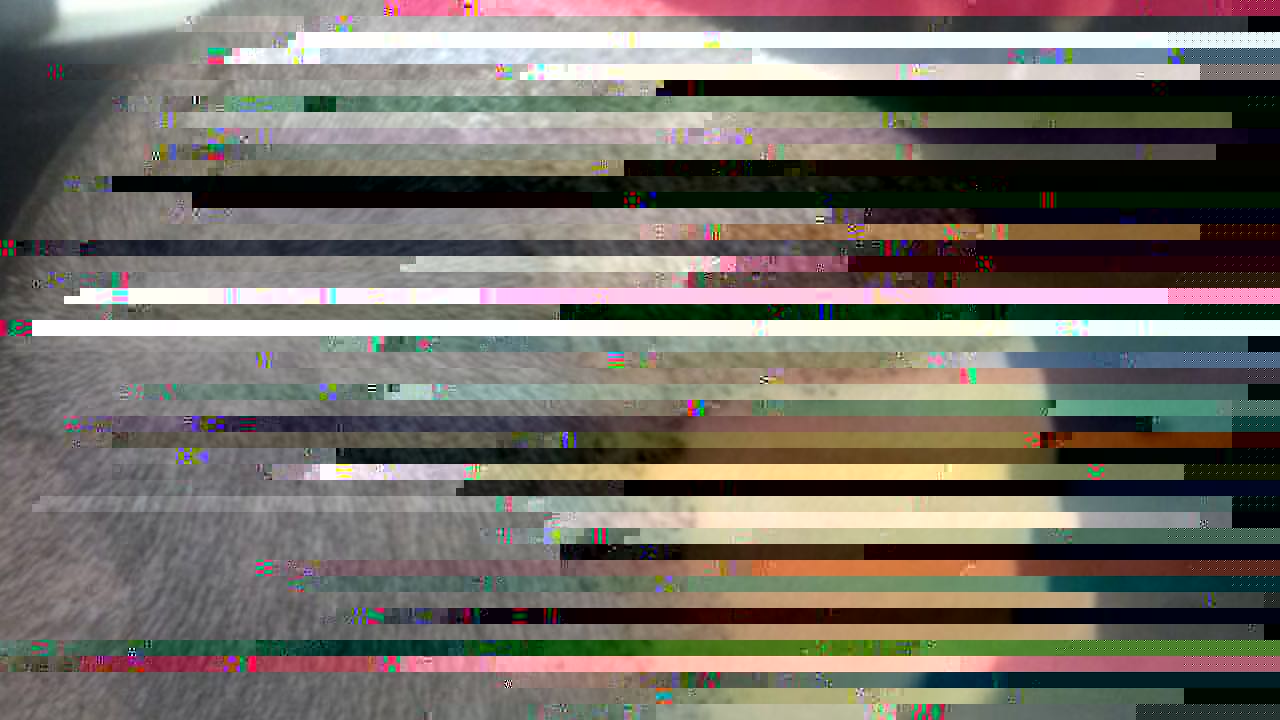before 7.jpeg